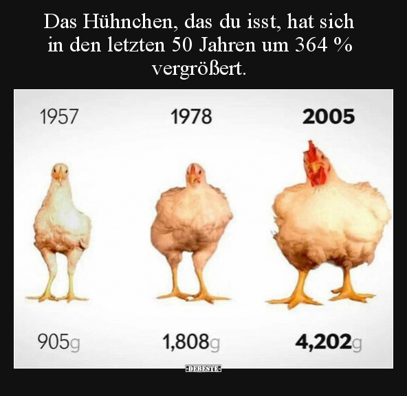 Das Hühnchen, das du isst, hat sich in den letzten 50 Jahren um 364 % vergrößert.