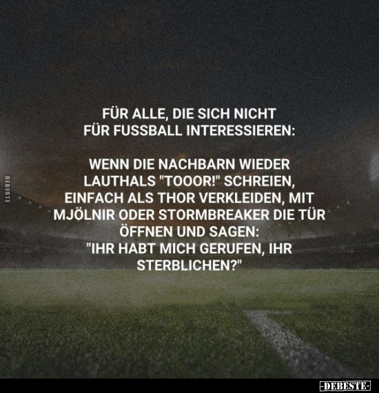 Für alle, die sich nicht für Fussball interessieren.. - Lustige Bilder | DEBESTE.de