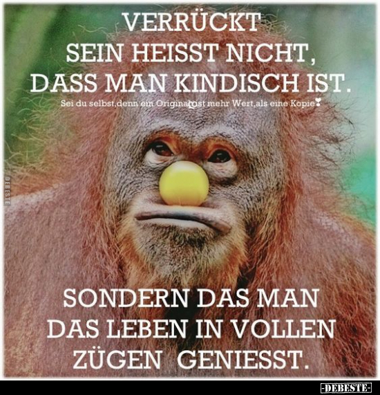 Verrückt sein heisst nicht, dass man kindisch ist.. - Lustige Bilder | DEBESTE.de