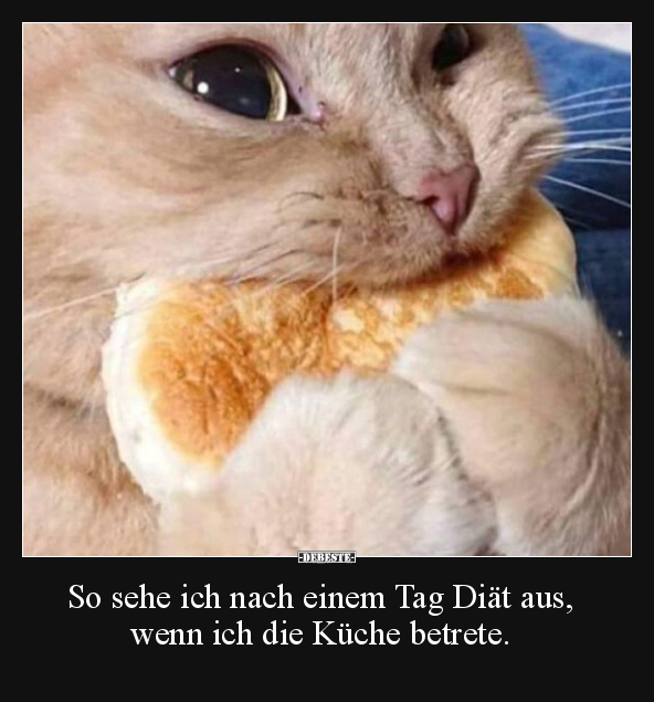 So sehe ich nach einem Tag Diät aus, wenn ich die Küche.. - Lustige Bilder | DEBESTE.de