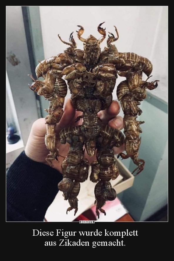 Diese Figur wurde komplett aus Zikaden gemacht...
