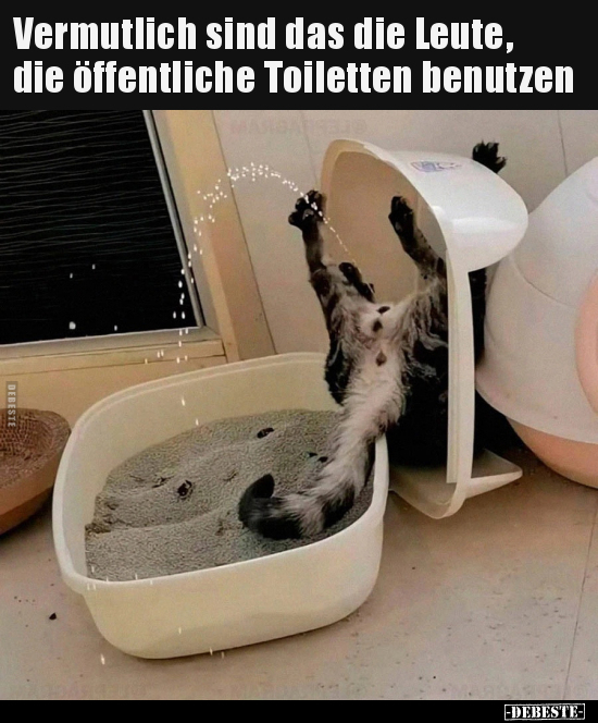 Vermutlich sind das die Leute, die öffentliche Toiletten.. - Lustige Bilder | DEBESTE.de