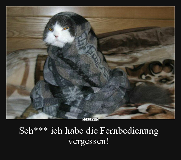 Sch*** ich habe die Fernbedienung vergessen!.. - Lustige Bilder | DEBESTE.de