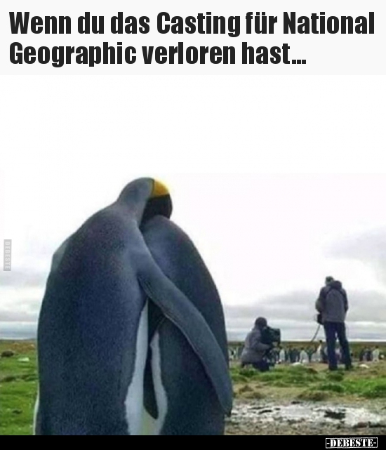 Wenn du das Casting für National Geographic verloren..