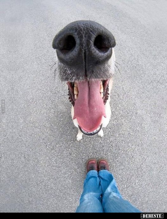  - Lustige Bilder | DEBESTE.de