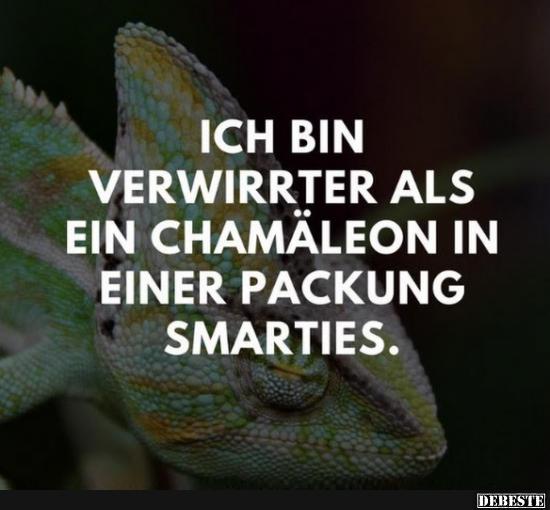 Ich bin verwirrter als ein Chamäleon in einer Packung Smarties. - Lustige Bilder | DEBESTE.de