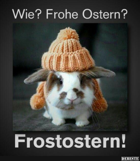 Wie? Frohe Ostern? - Lustige Bilder | DEBESTE.de