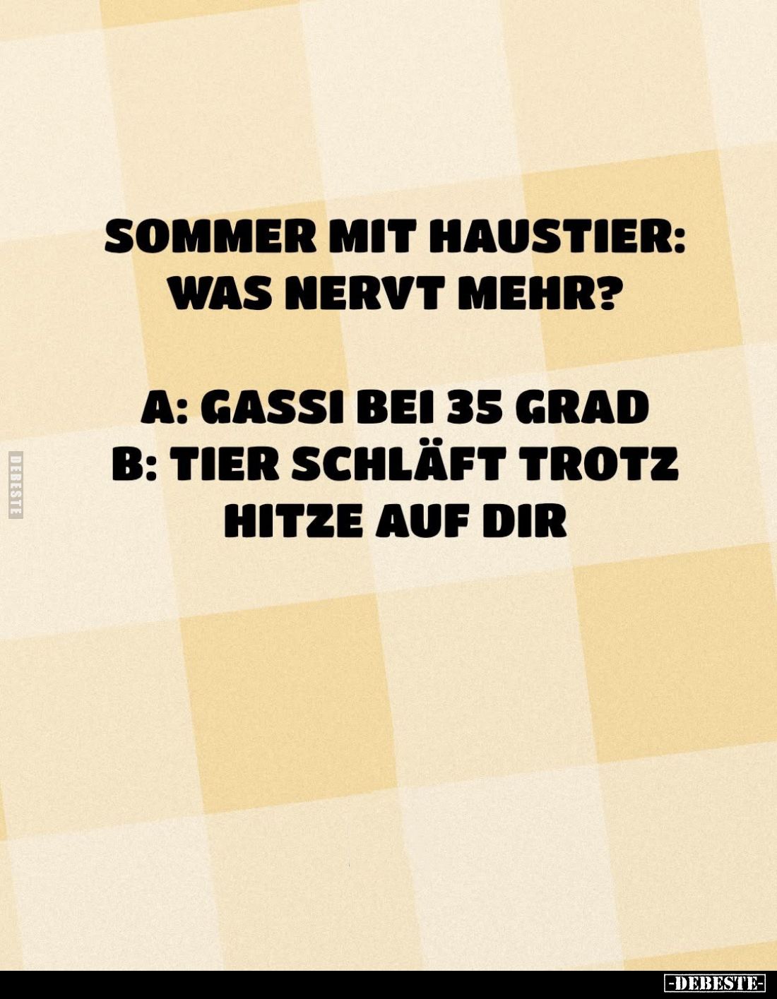 Sommer mit Haustier: Was nervt mehr?
A: Gassi bei 35 Grad. -
B: Tier schläft trotz
Hitze auf dir.
