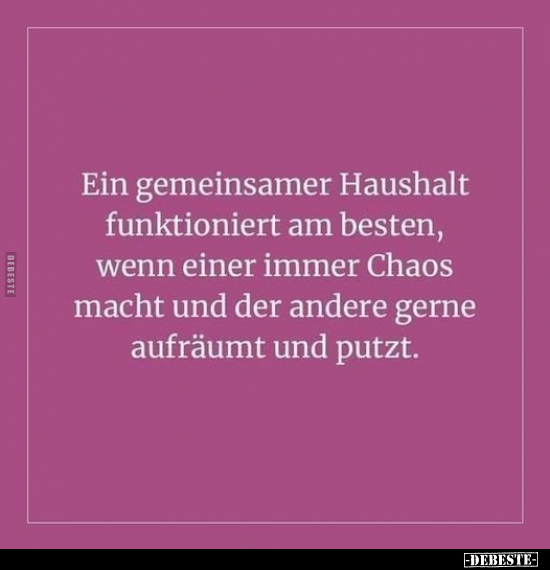 Ein gemeinsamer Haushalt funktioniert am besten, wenn einer..