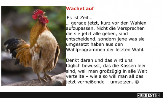  - Lustige Bilder | DEBESTE.de