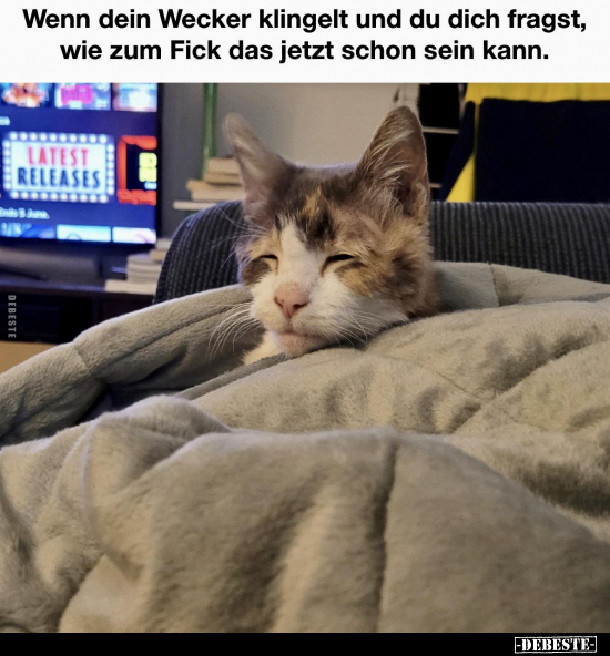 Wenn dein Wecker klingelt und du dich fragst, wie zum Fi*ck.. - Lustige Bilder | DEBESTE.de