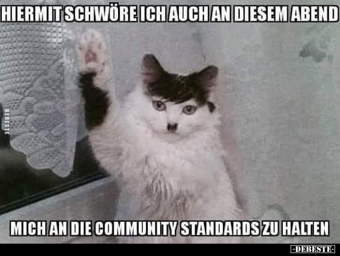 Hiermit schwöre ich auch an diesem Abend
mich an die Community Standards zu halten.