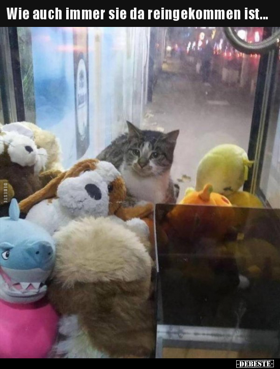 Wie auch immer sie da reingekommen ist...