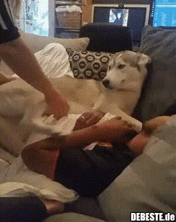 Nö, will hier bleiben!