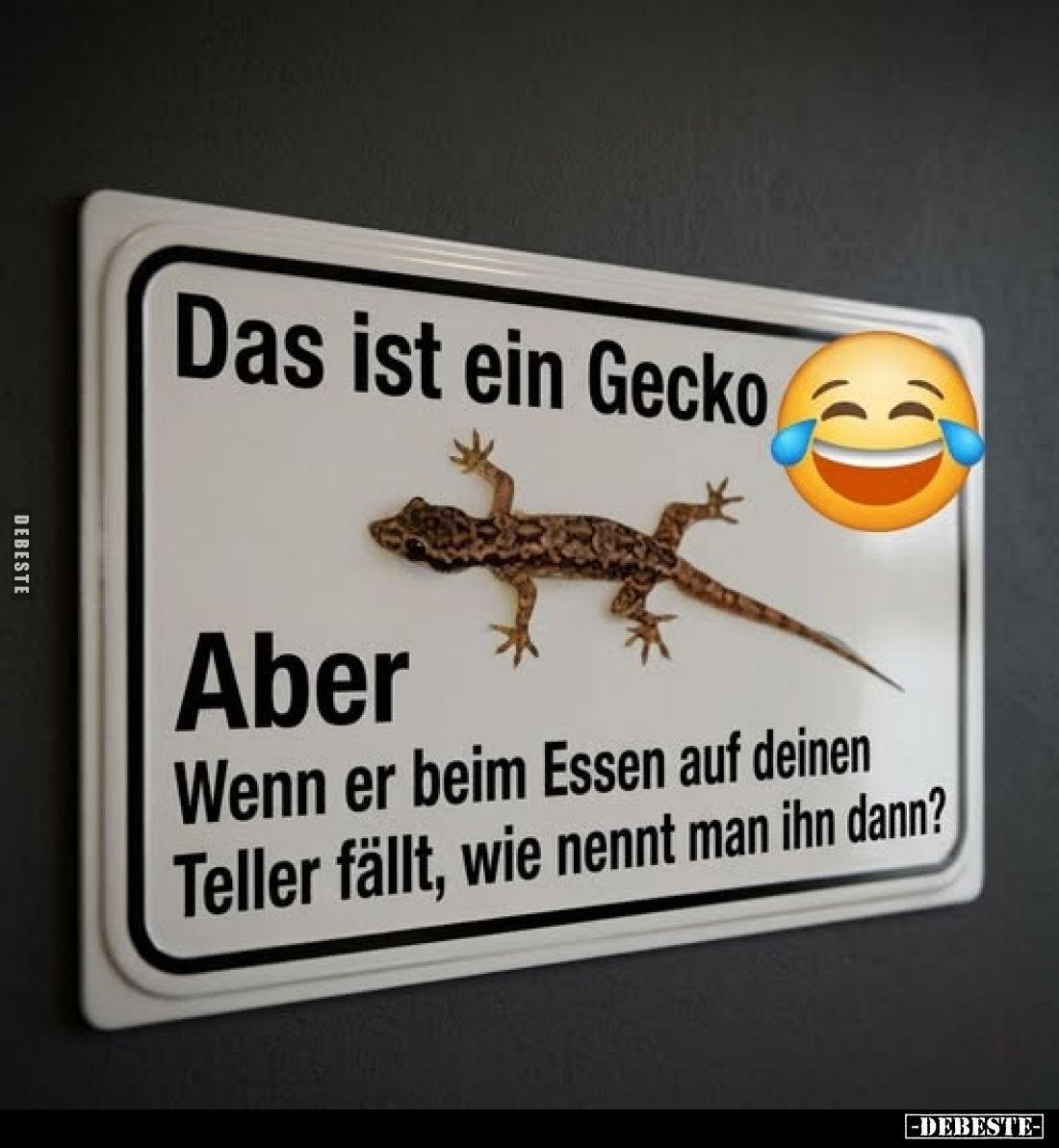 Das ist ein Gecko.
Aber,
Wenn er beim Essen auf deinen Teller fällt, wie nennt man ihn dann?