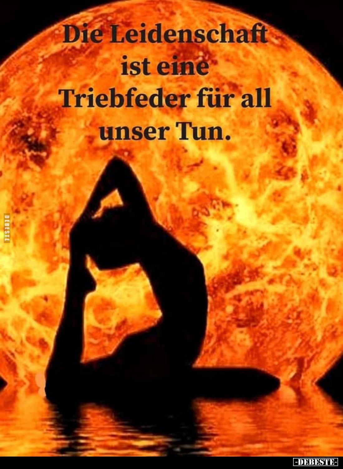 Die Leidenschaft ist eine Triebfeder für all unser Tun.