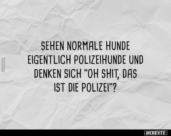 Sehen normale Hunde eigentlich Polizeihunde und denken sich.. - Lustige Bilder | DEBESTE.de