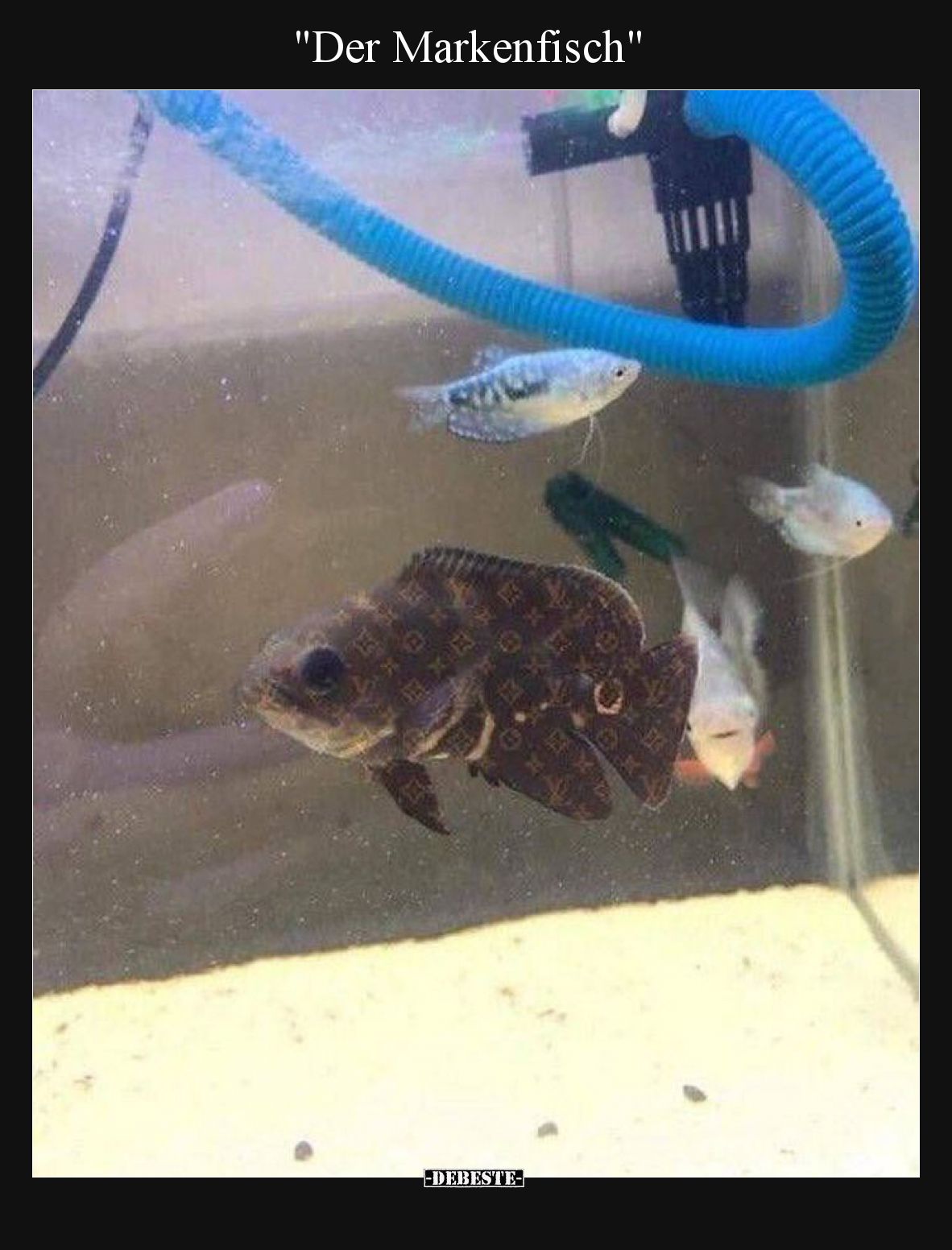 "Der Markenfisch".. - Lustige Bilder | DEBESTE.de
