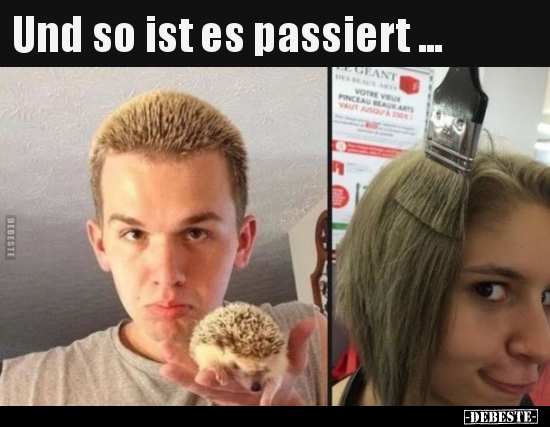 Und so ist es passiert... - Lustige Bilder | DEBESTE.de