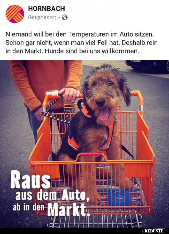 Niemand will bei den Temperaturen im Auto sitzen..