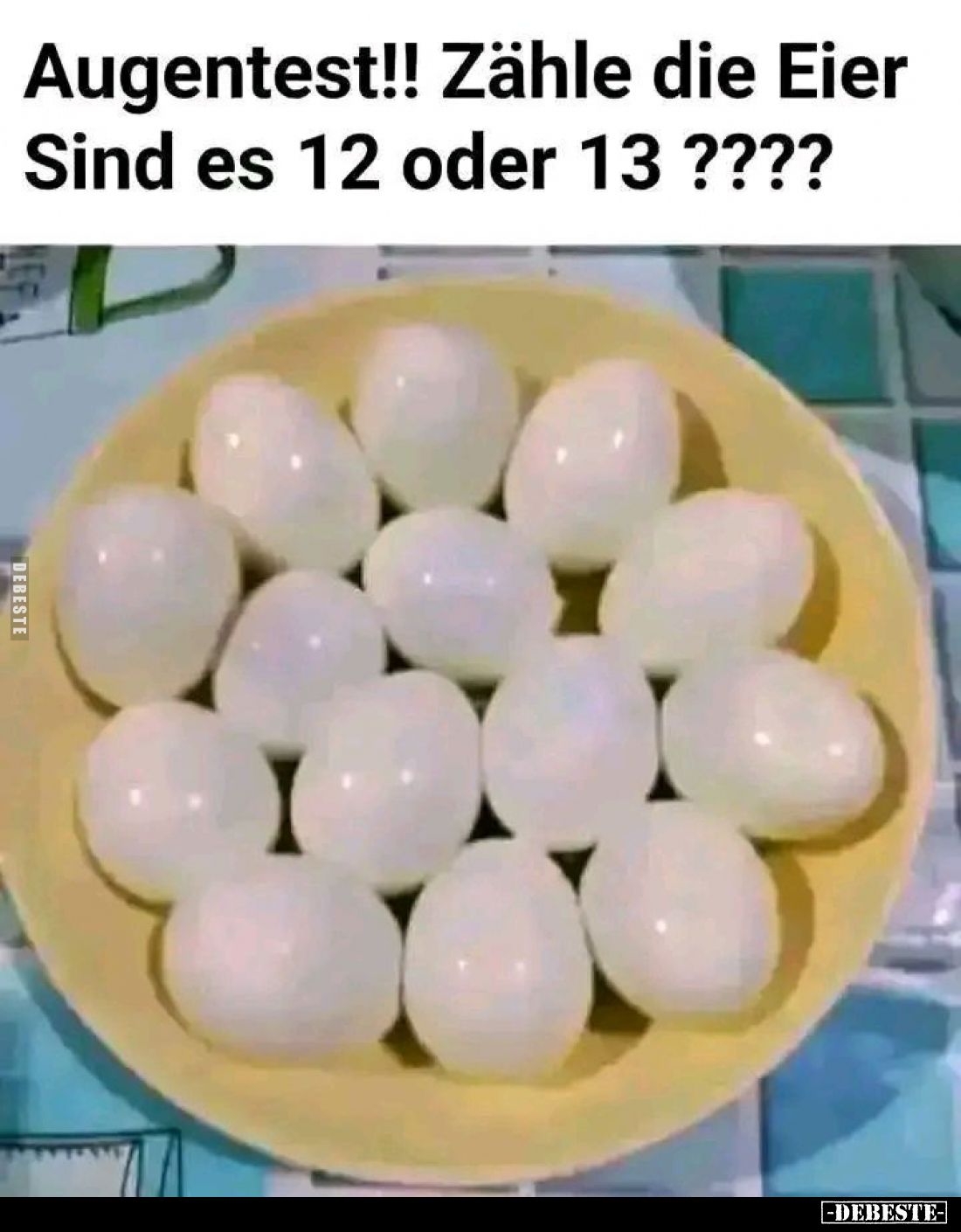 Augentest!! Zähle die Eier Sind es 12 oder 13?.. - Lustige Bilder | DEBESTE.de