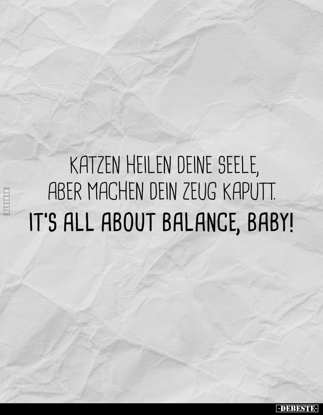 Katzen heilen deine Seele, aber machen dein Zeug.. - Lustige Bilder | DEBESTE.de