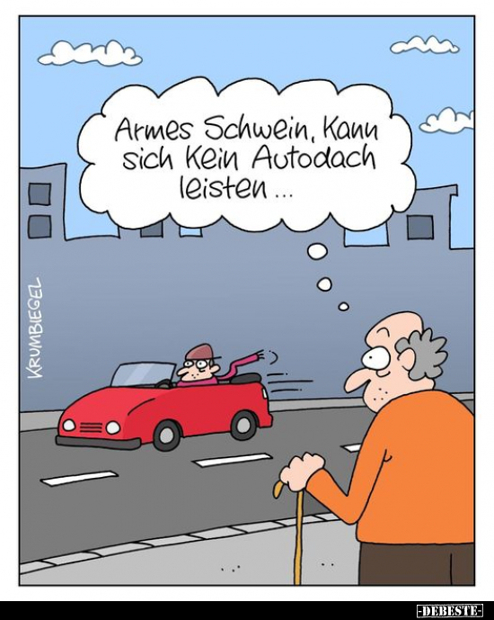 Armes Schwein, kann sich kein Autodach leisten... - Lustige Bilder | DEBESTE.de