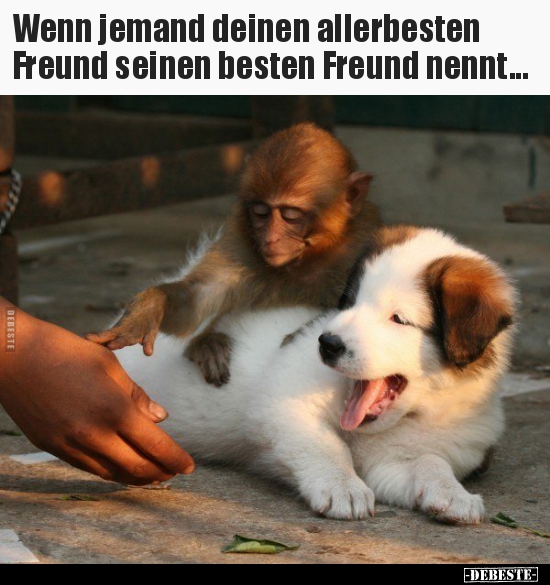 Wenn jemand deinen allerbesten Freund seinen besten Freund..