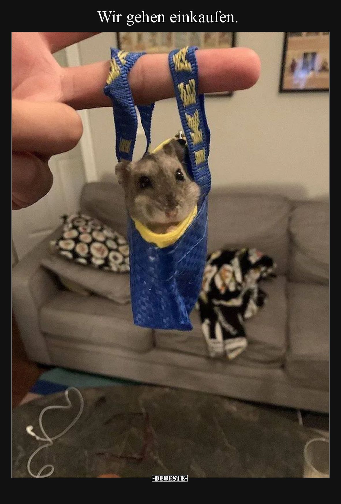 Wir gehen einkaufen.