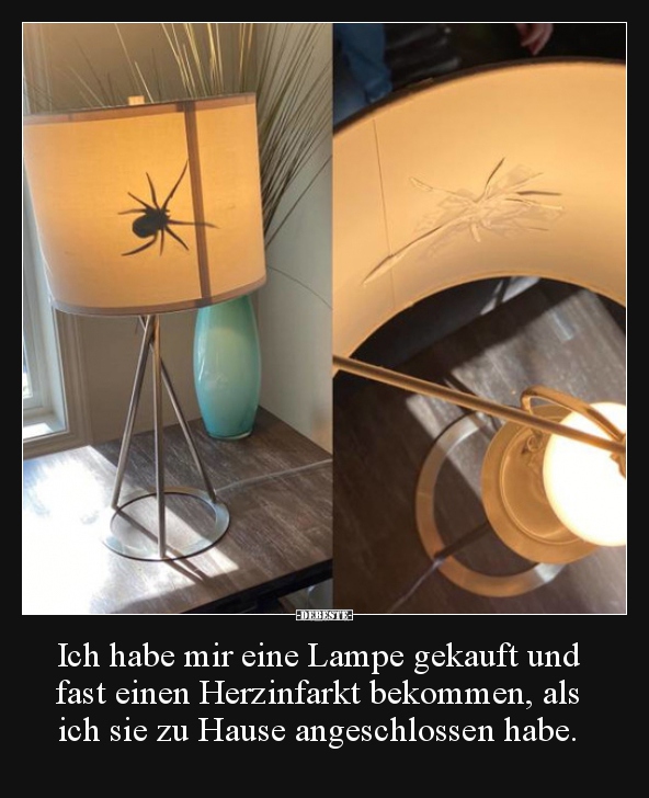 Ich habe mir eine Lampe gekauft und fast einen Herzinfarkt.. - Lustige Bilder | DEBESTE.de