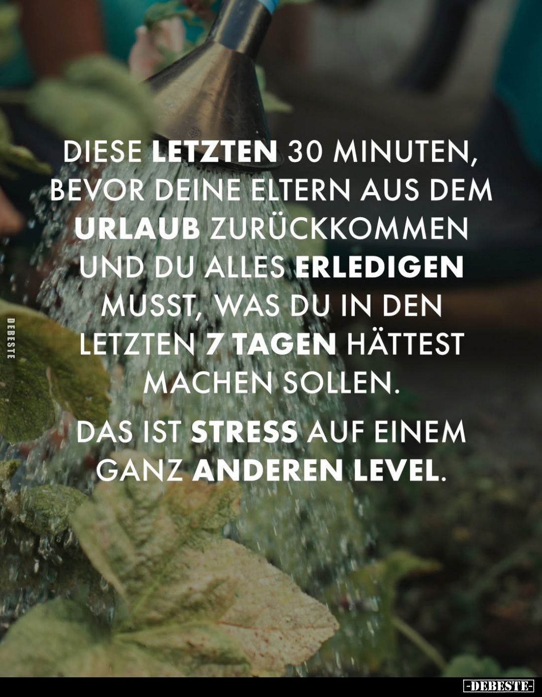 Diese letzten 30 Minuten, bevor deine Eltern aus dem Urlaub zurückkommen und du alles erledigen musst, was du in den letzten ...
