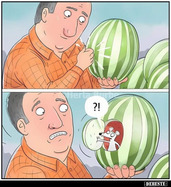  - Lustige Bilder | DEBESTE.de