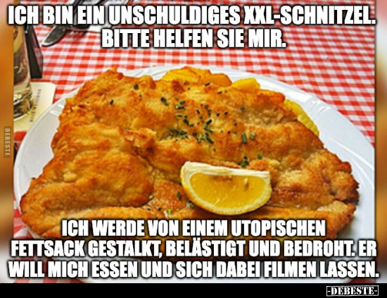 Ich bin ein unschuldiges XXL-Schnitzel.. - Lustige Bilder | DEBESTE.de