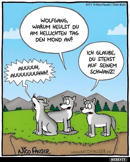 Wolfgang, warum heulst du am hellichten Tag.. - Lustige Bilder | DEBESTE.de