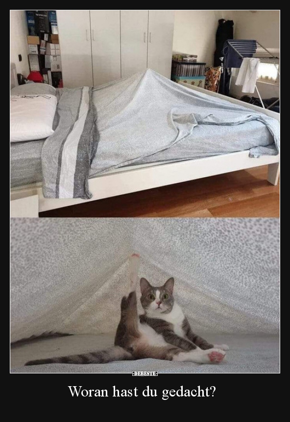 Woran hast du gedacht?..