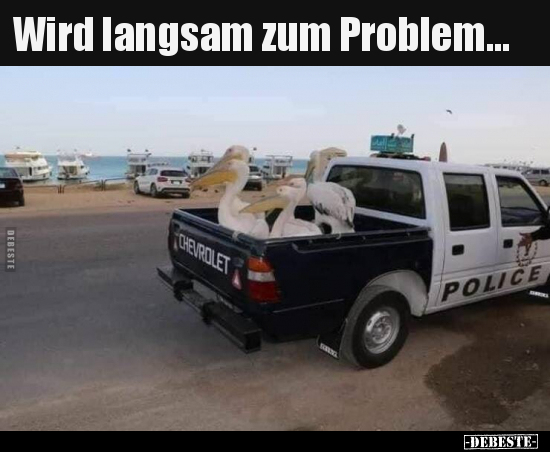 Wird langsam zum Problem...