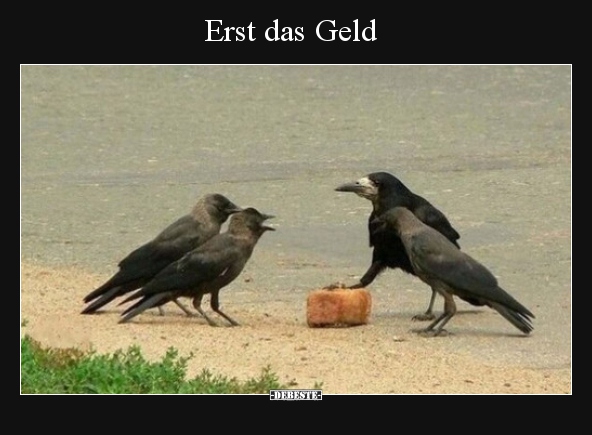 Erst das Geld.. - Lustige Bilder | DEBESTE.de