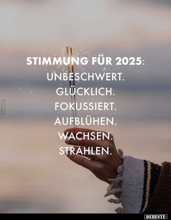 Stimmung für 2025.. - Lustige Bilder | DEBESTE.de