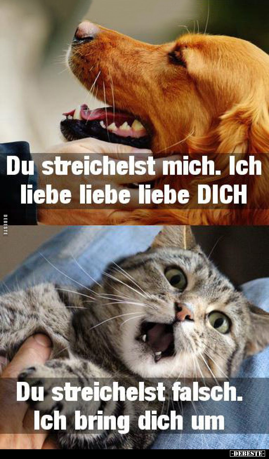 Du streichelst mich. Ich liebe liebe liebe DICH.
Du streichelst falsch. Ich bring dich um.