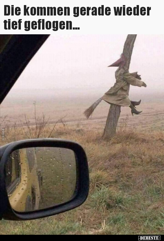 Die kommen gerade wieder tief geflogen...