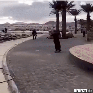 Gerade noch gerettet...