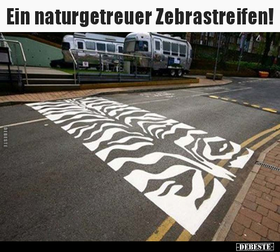 Ein naturgetreuer Zebrastreifen!.. - Lustige Bilder | DEBESTE.de