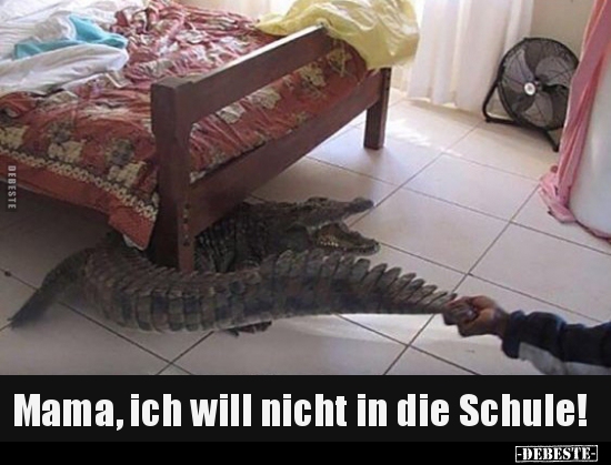 Mama, ich will nicht in die Schule!.. - Lustige Bilder | DEBESTE.de
