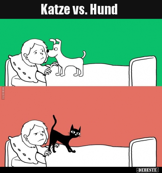 Katze vs. Hund.. - Lustige Bilder | DEBESTE.de