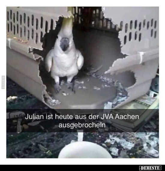Julian ist heute aus der JVA Aachen ausgebrocheln... - Lustige Bilder | DEBESTE.de