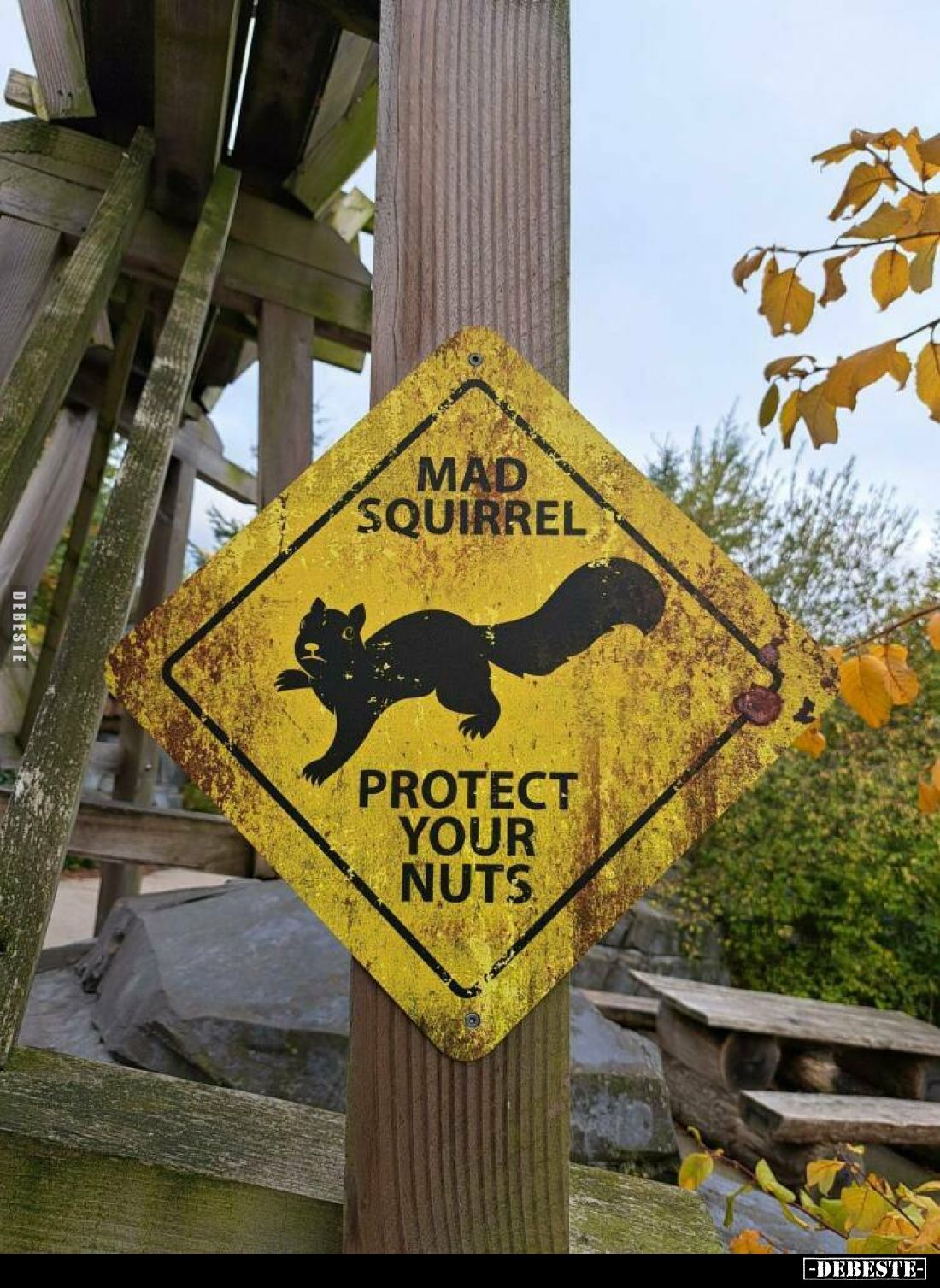 MAD SQUIRREL
-
PROTECT YOUR NUTS