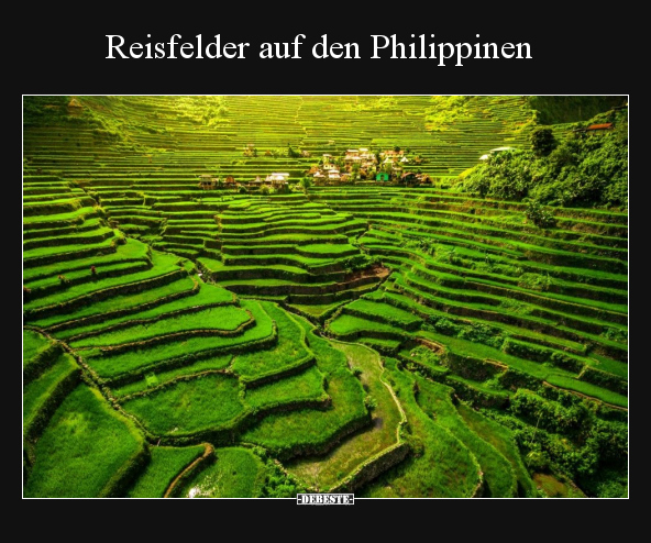 Reisfelder auf den Philippinen.. - Lustige Bilder | DEBESTE.de