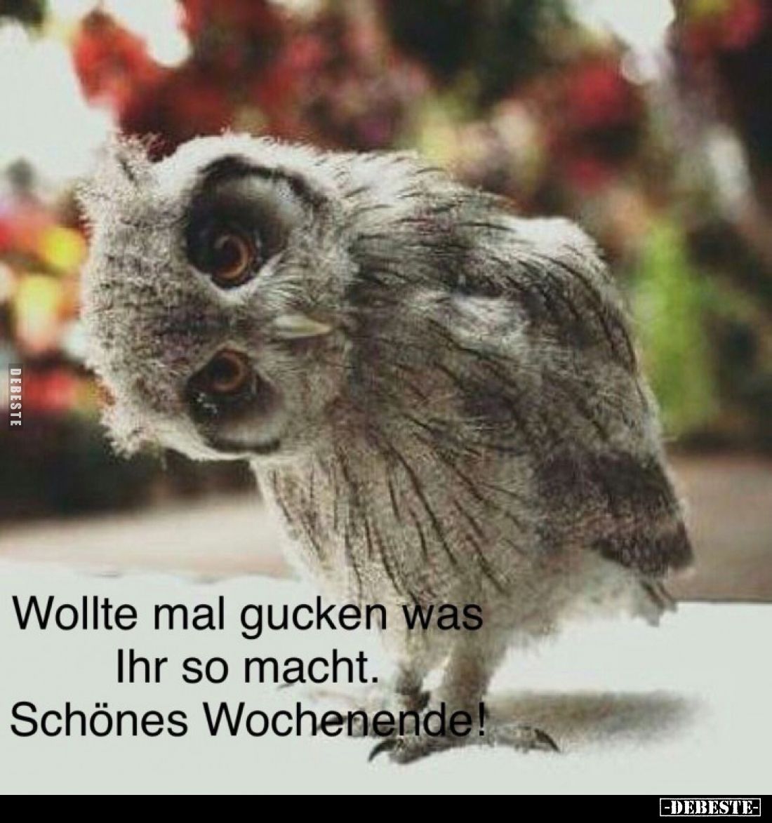 Wollte mal gucken was Ihr so macht.
Schönes Wochenende!