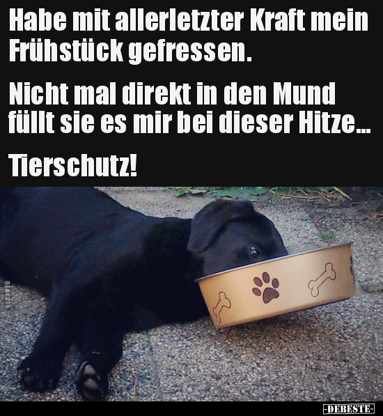 Habe mit allerletzter Kraft mein Frühstück..