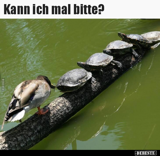 Kann ich mal bitte?..